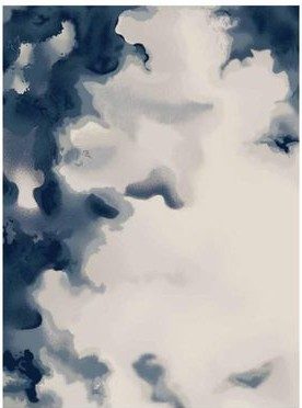 PK01-1C1106