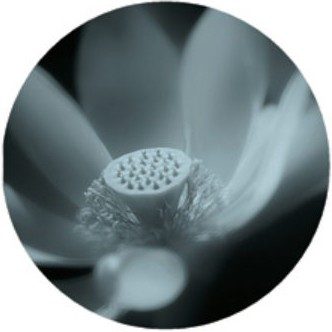 T4-P032-2