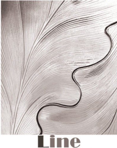 T4-P054-1